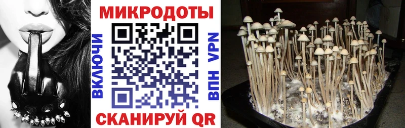 Купить где  Зуевка  Галлюциногенные грибы Psilocybe 